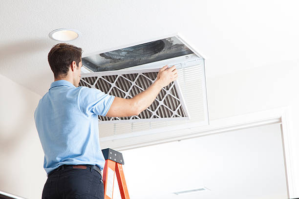 Best Air Filters and Purifiers in St James City, FL
